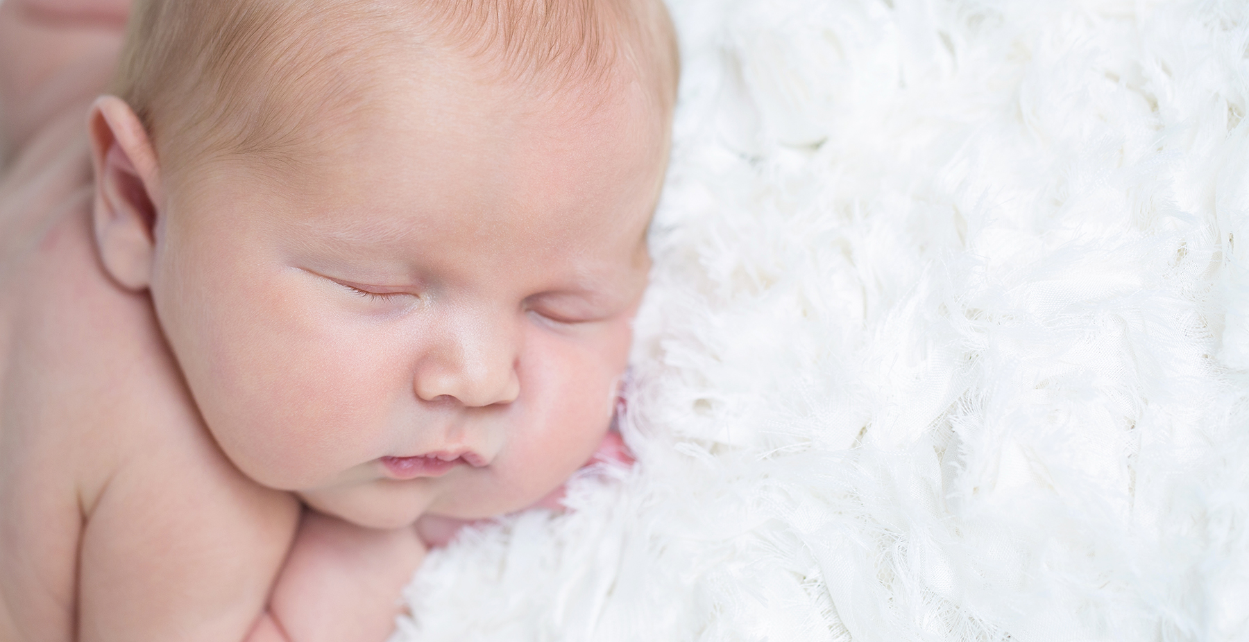 newborn photography by renee bell